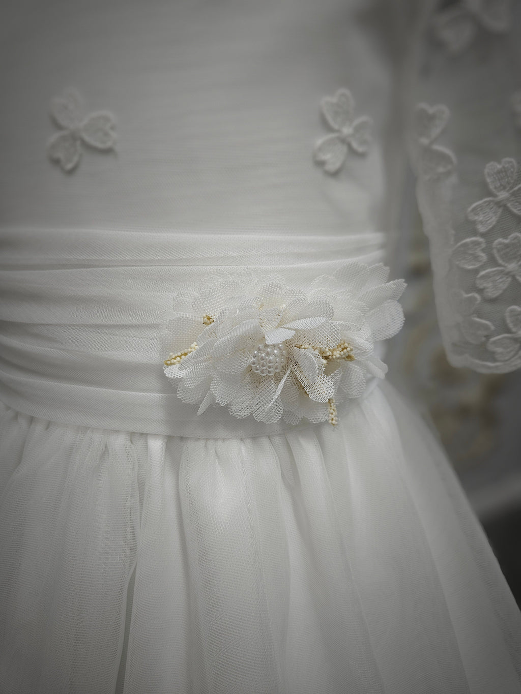 Carmy Girls Holy Communion Dress:- 5203 Ivory