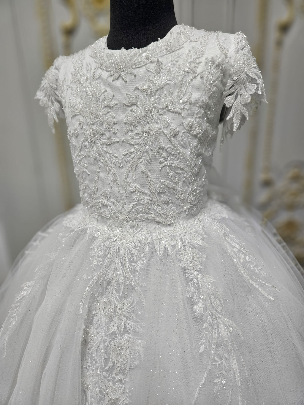 Princess Range Holy Communion Dress  Kindle 21