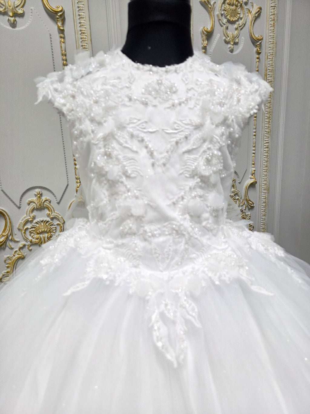 Princess Range Holy Communion Dress  Kindle 1