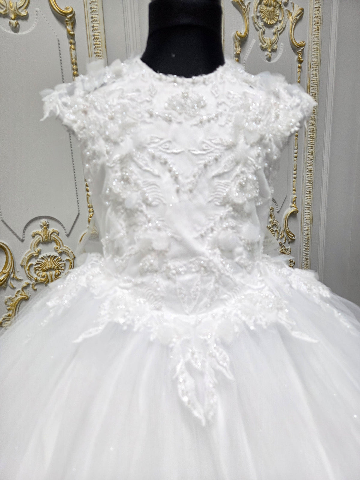 Princess Range Holy Communion Dress  Kindle 1