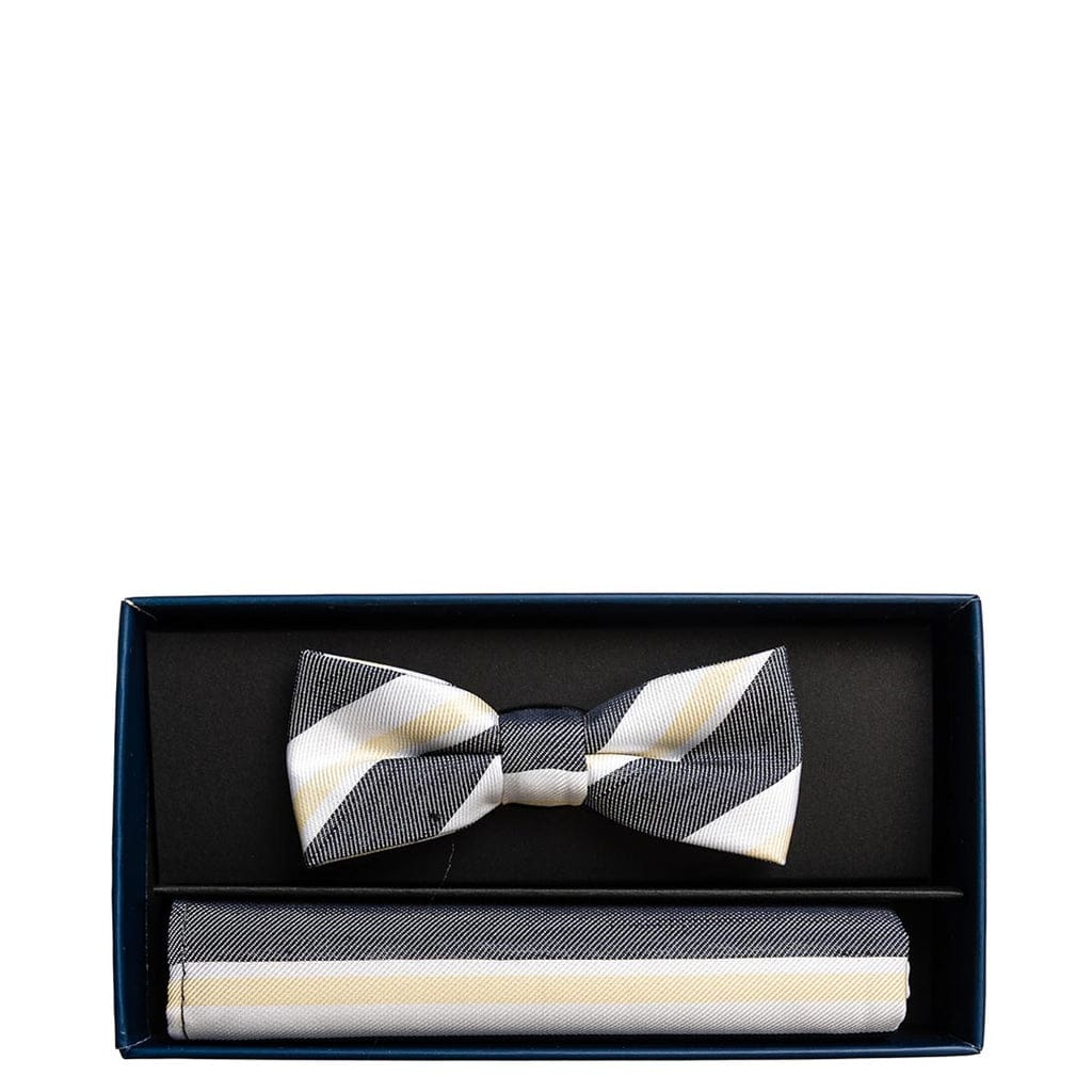 Spagnolo Boys Striped Bow Tie And Pocket Square