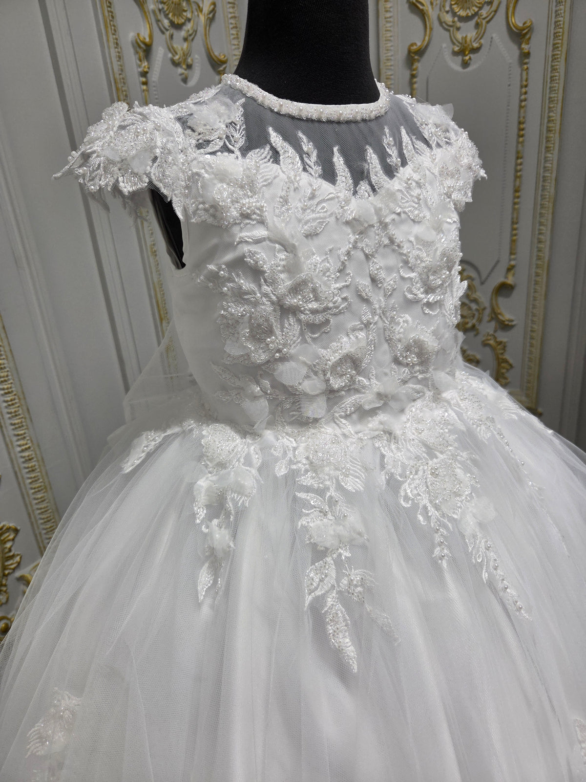 Princess Range Holy Communion Dress Kindle 6