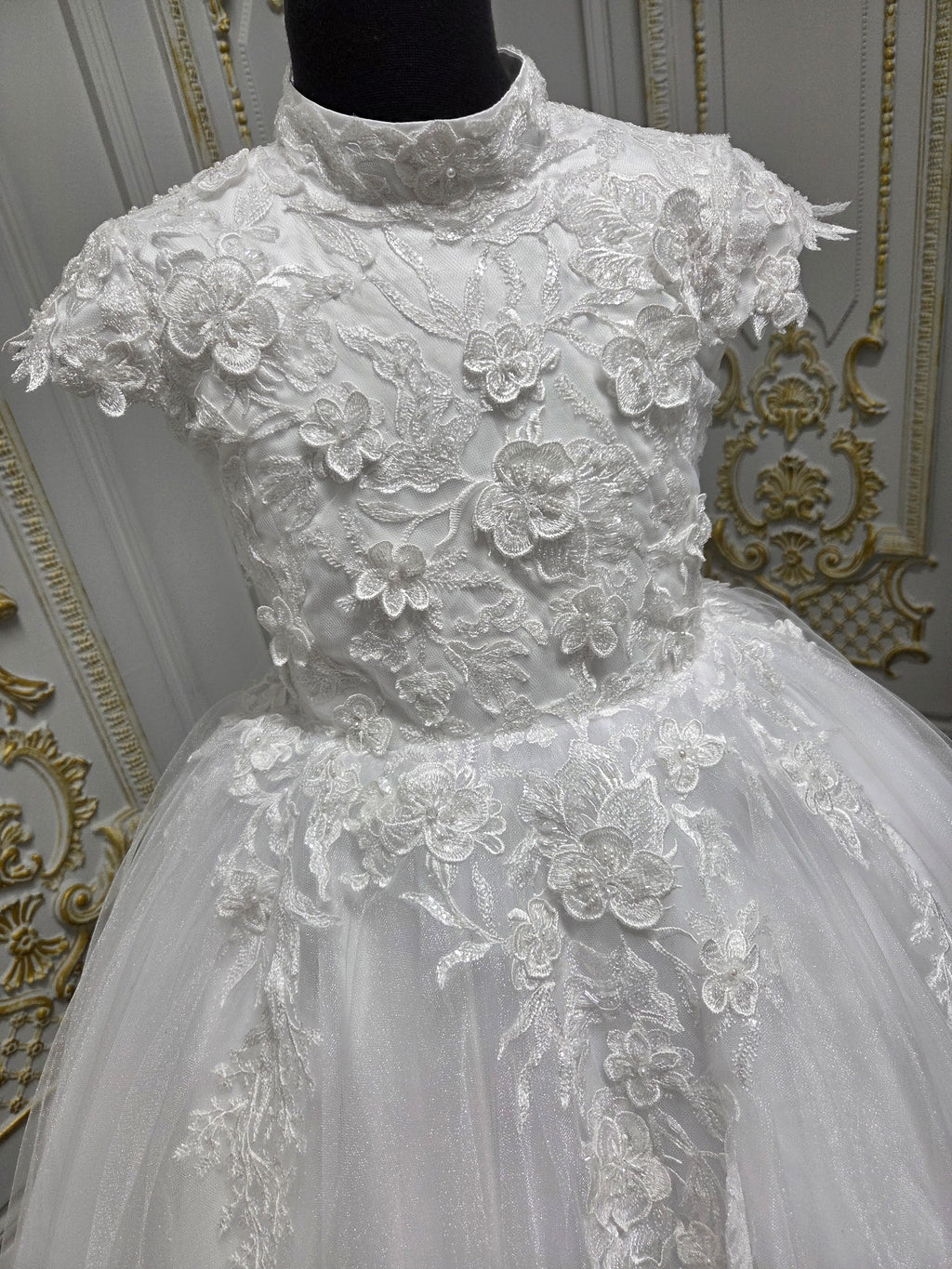 Princess Range Holy Communion Dress  Kindle 3