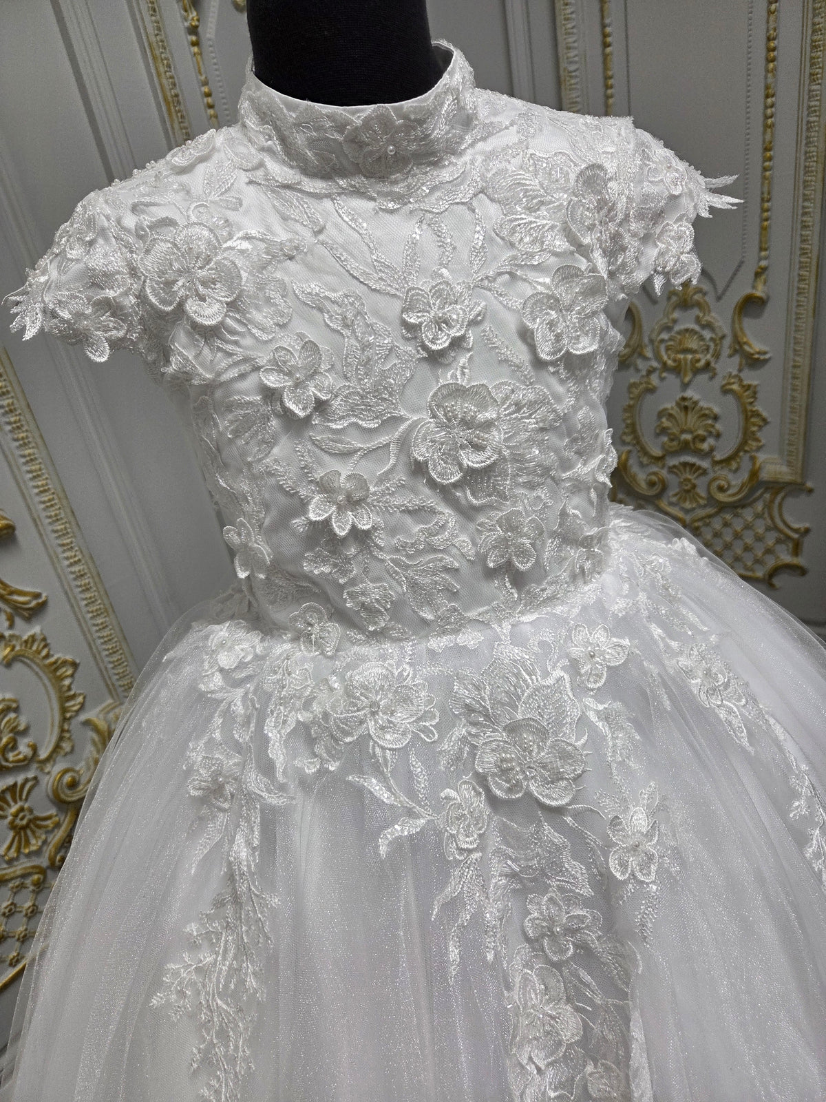 Princess Range Holy Communion Dress  Kindle 3