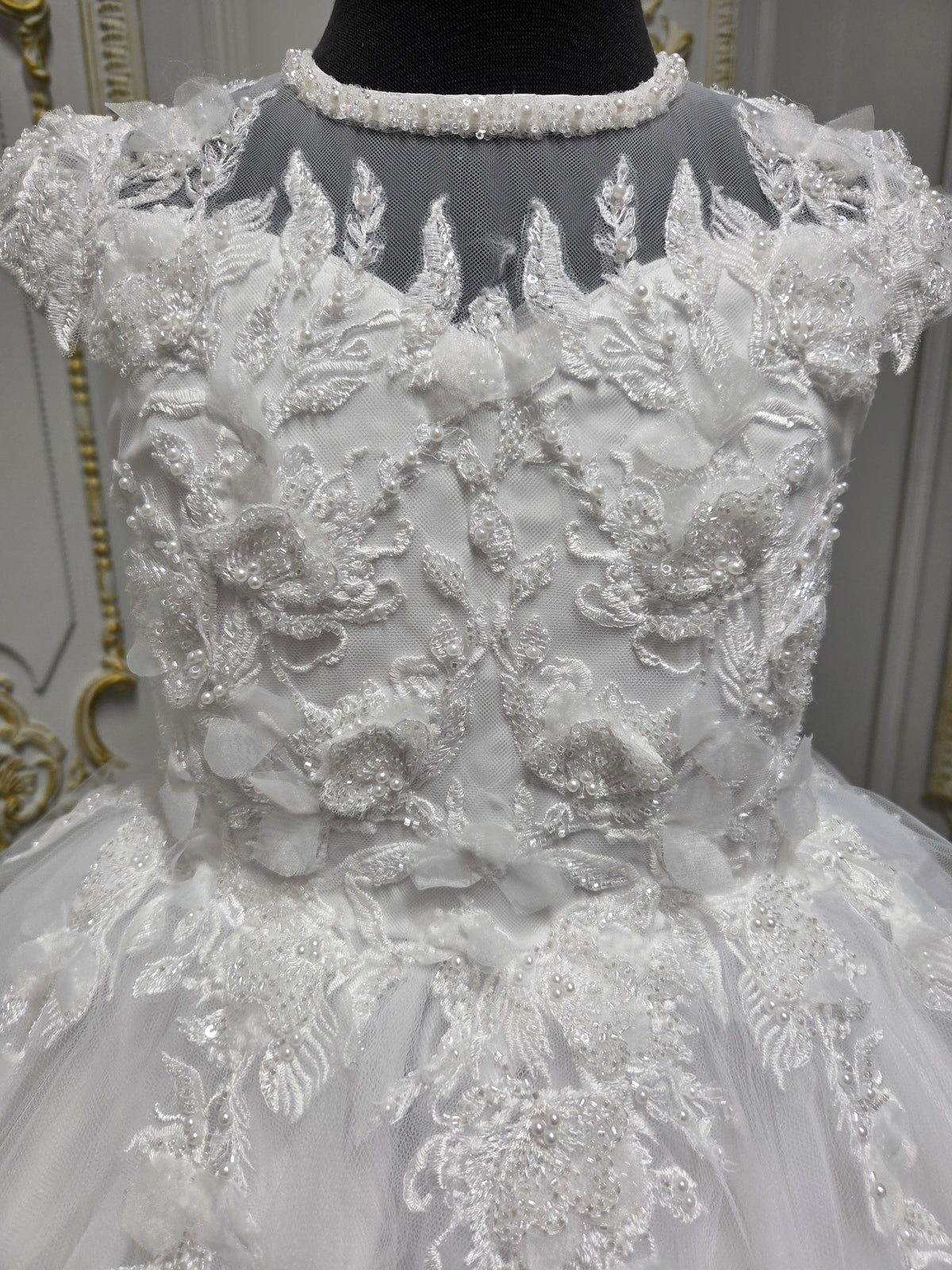 Princess Range Holy Communion Dress Kindle 6