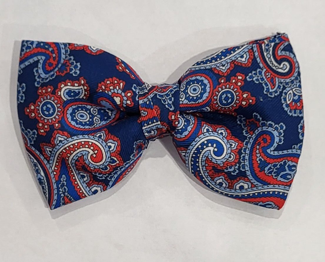 SALE One Varones Boys Paisley Bow Tie