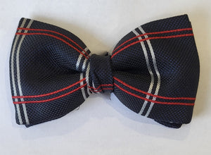 SALE One Varones Boys Check Navy & Red Bow Tie