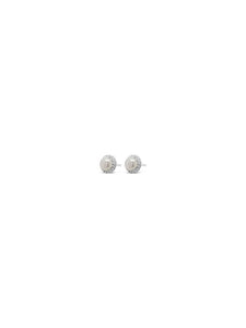 Absolute Jewellery Pearl & Diamante Earrings HCE430
